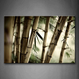 Many Dry Bamboos Portrait Wall Art Painting The Picture Print On Canvas Botanical Pictures For Home Decor Decoration Gift 