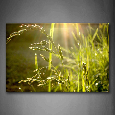 Bright Light Through Green Grass Wall Art Painting The Picture Print On Canvas Botanical Pictures For Home Decor Decoration Gift 