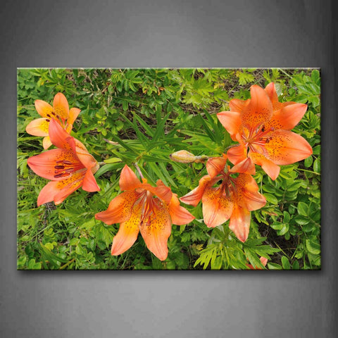 Five Orange Flowers Over Green Leafs Wall Art Painting Pictures Print On Canvas Flower The Picture For Home Modern Decoration 