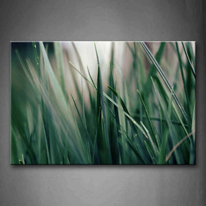 Thick Dark Green Grass Portrait Wall Art Painting Pictures Print On Canvas Botanical The Picture For Home Modern Decoration 