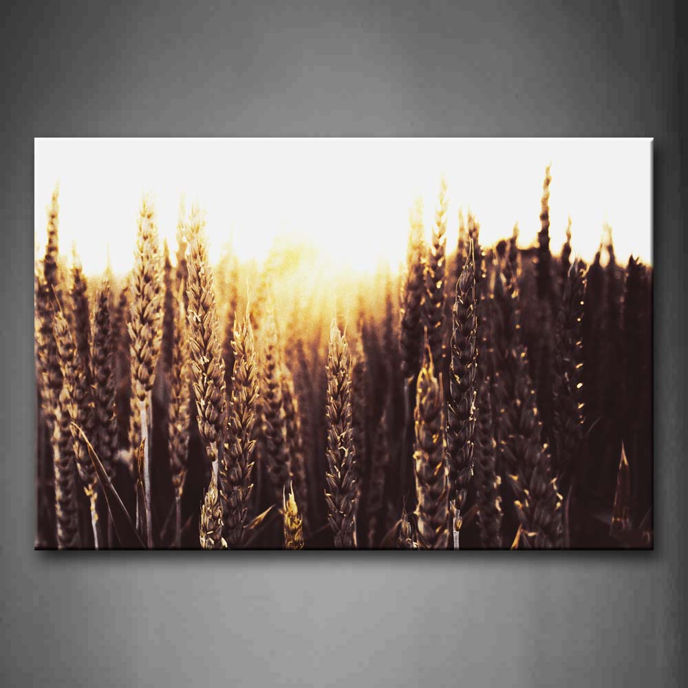 Thick Wheats Sun  Wall Art Painting The Picture Print On Canvas Botanical Pictures For Home Decor Decoration Gift 