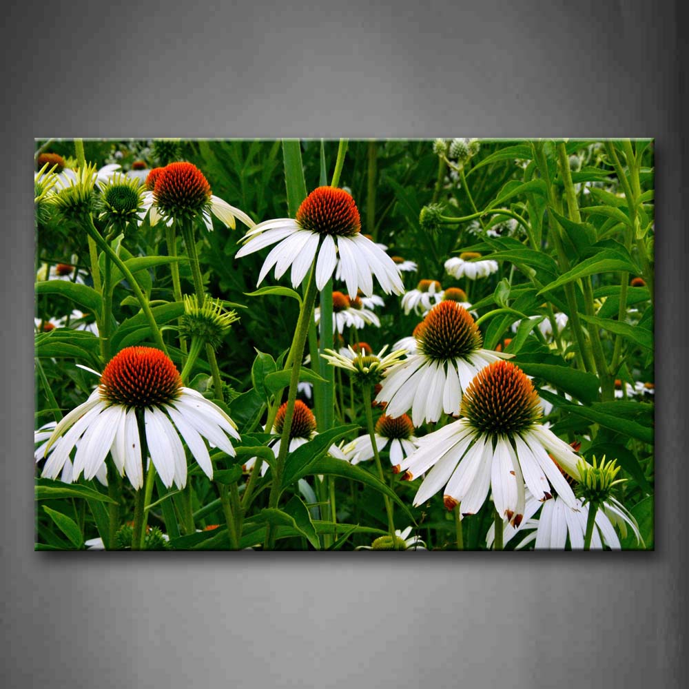 White Flowers With Orange Anther In Green Grass Wall Art Painting The Picture Print On Canvas Flower Pictures For Home Decor Decoration Gift 