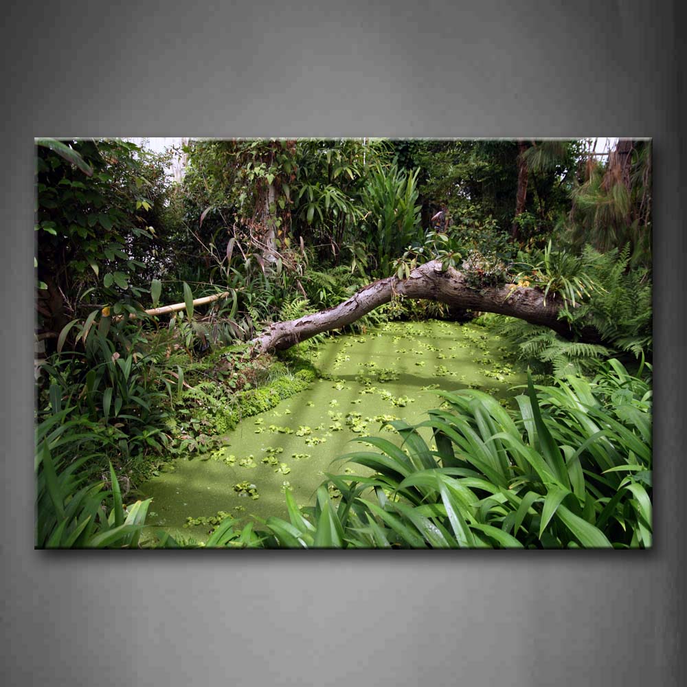 Trunk Fall Down Over Green Pool In Forest Wall Art Painting Pictures Print On Canvas Landscape The Picture For Home Modern Decoration 