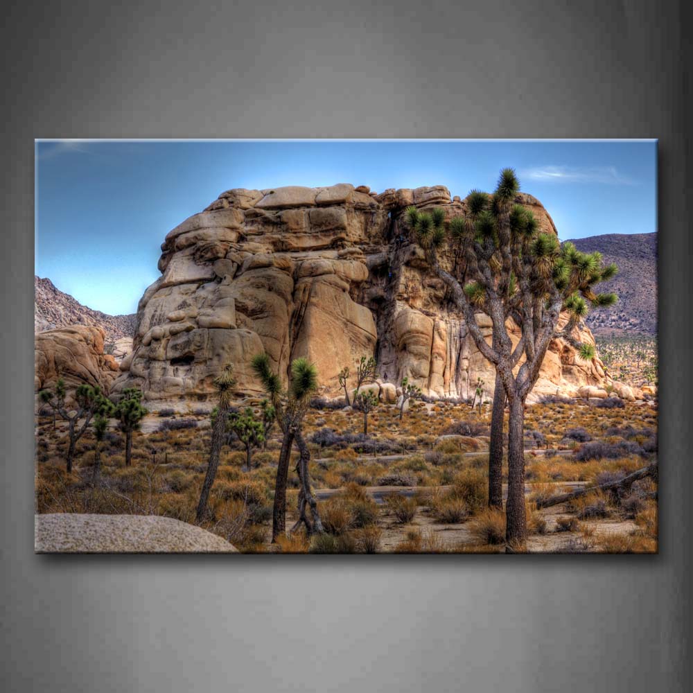 Joshua Trees Grow With Grass Near Big Rock Wall Art Painting The Picture Print On Canvas Landscape Pictures For Home Decor Decoration Gift 