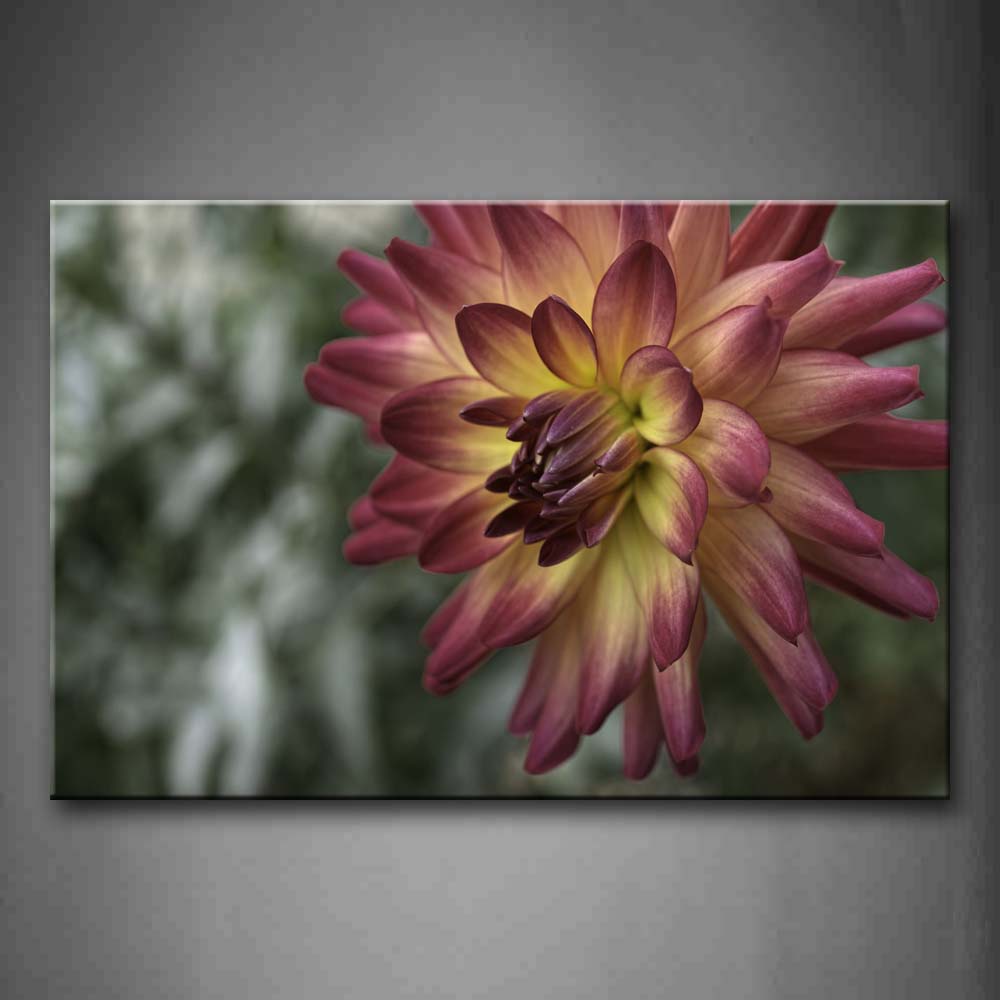 Pink Flower Make Of Many Petals Wall Art Painting Pictures Print On Canvas Flower The Picture For Home Modern Decoration 