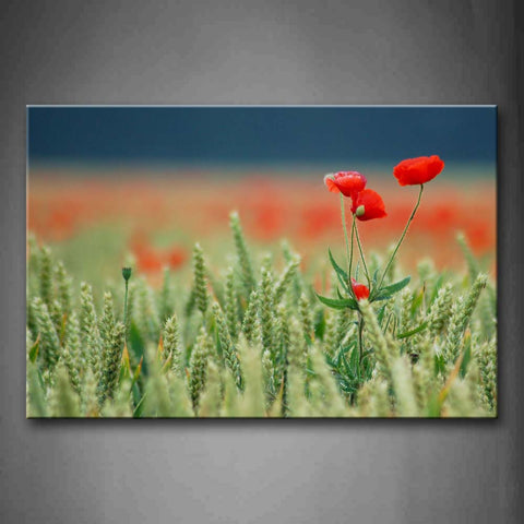 Red Poppys Over Green Plant Wall Art Painting Pictures Print On Canvas Flower The Picture For Home Modern Decoration 
