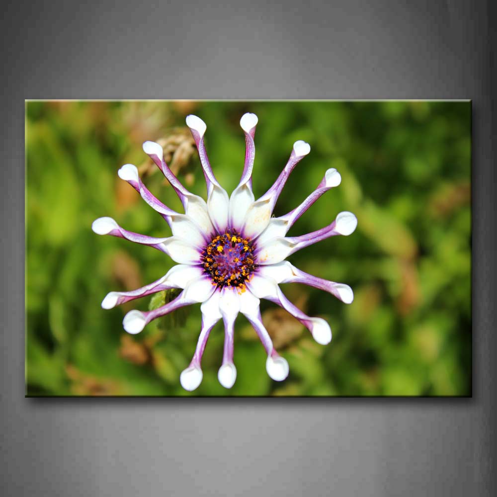 Strange Flower Like Octopus Over Green Land Wall Art Painting The Picture Print On Canvas Flower Pictures For Home Decor Decoration Gift 