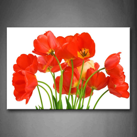 Several Red Flowers On White Background Wall Art Painting The Picture Print On Canvas Flower Pictures For Home Decor Decoration Gift 