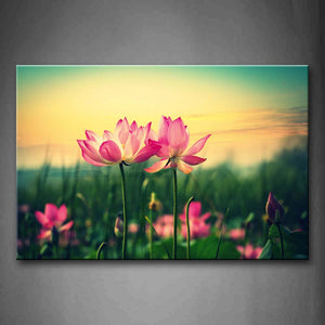 Many Pink Lotus In Front Of Green Grass Wall Art Painting Pictures Print On Canvas Flower The Picture For Home Modern Decoration 