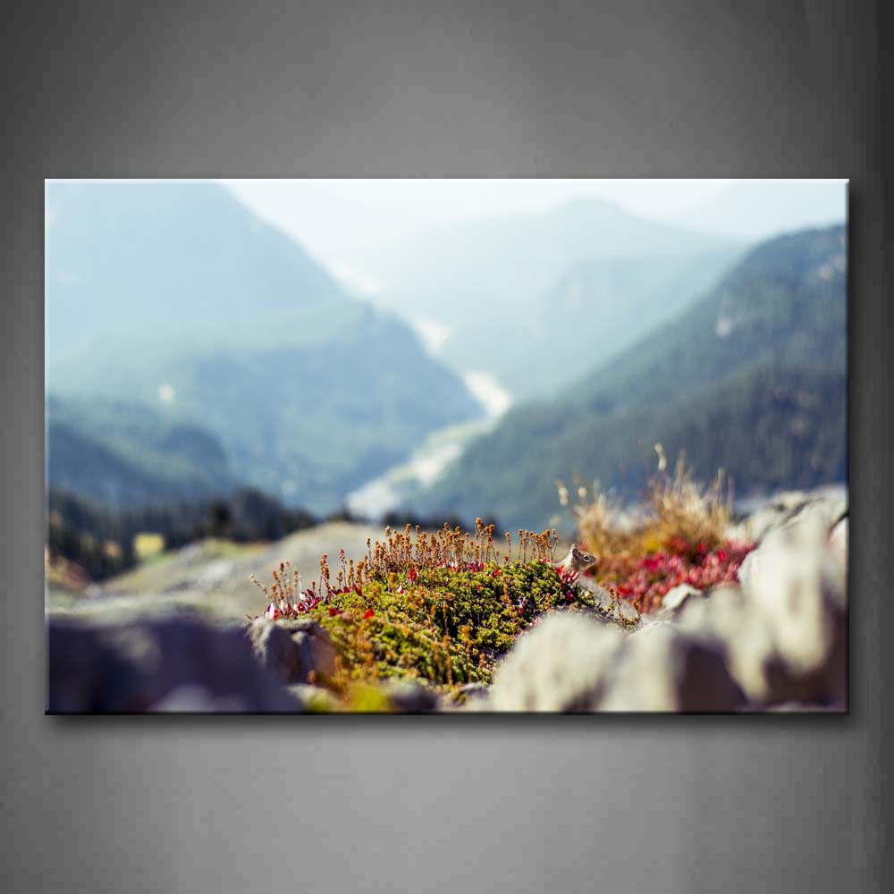 Some Red And Green Grass On Mountain Valley Wall Art Painting The Picture Print On Canvas Landscape Pictures For Home Decor Decoration Gift 