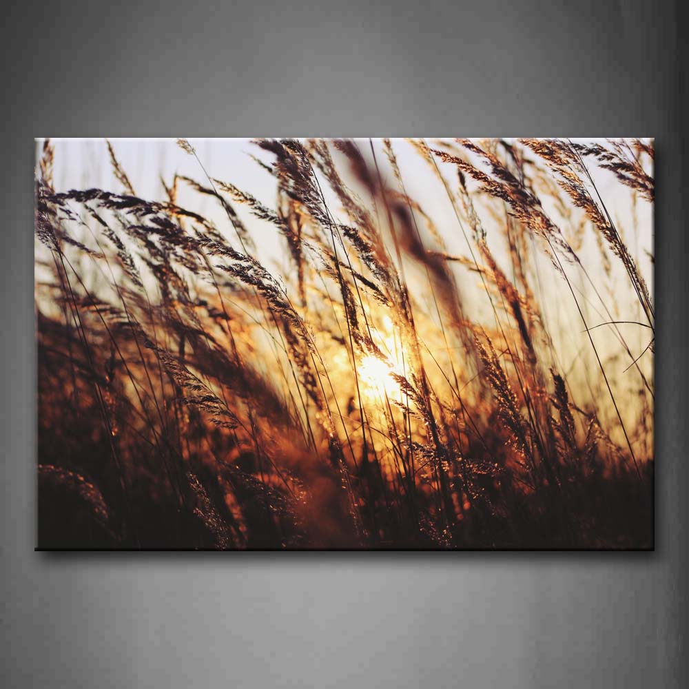 Setting Sun Behind Tall Grass Wall Art Painting The Picture Print On Canvas Botanical Pictures For Home Decor Decoration Gift 