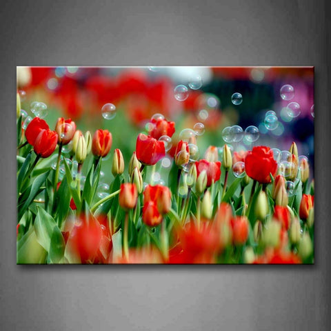 Red Tulips And Bubs Under Many Bubbles Wall Art Painting Pictures Print On Canvas Flower The Picture For Home Modern Decoration 