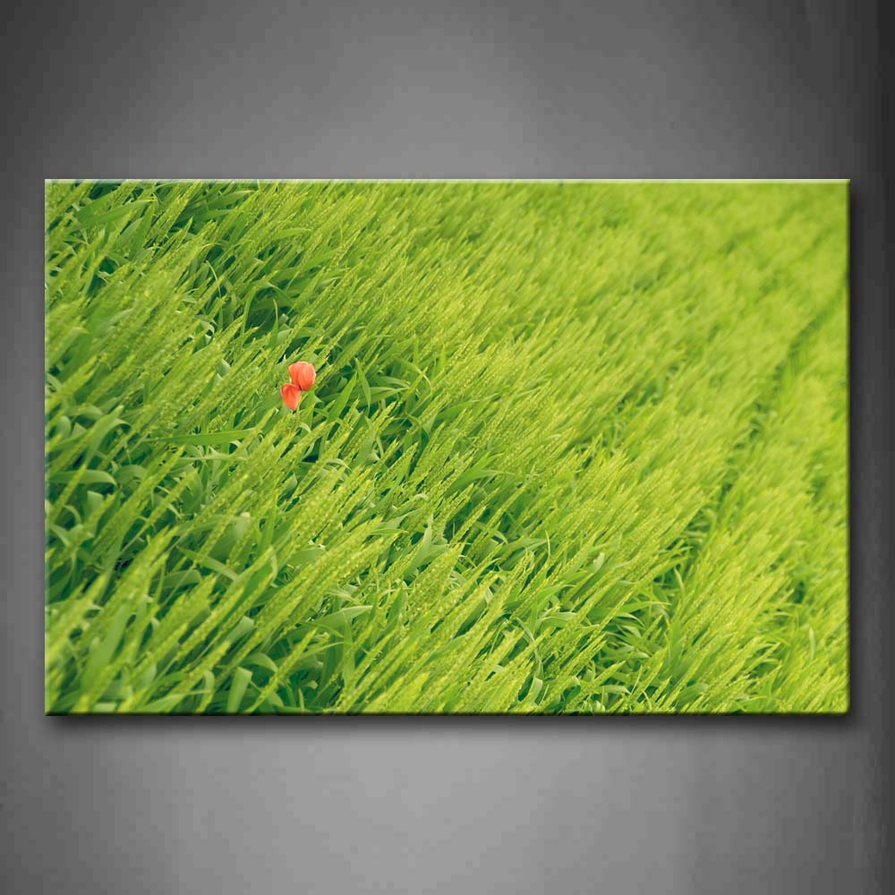 A Red Flower On Green Field Wall Art Painting Pictures Print On Canvas Botanical The Picture For Home Modern Decoration 