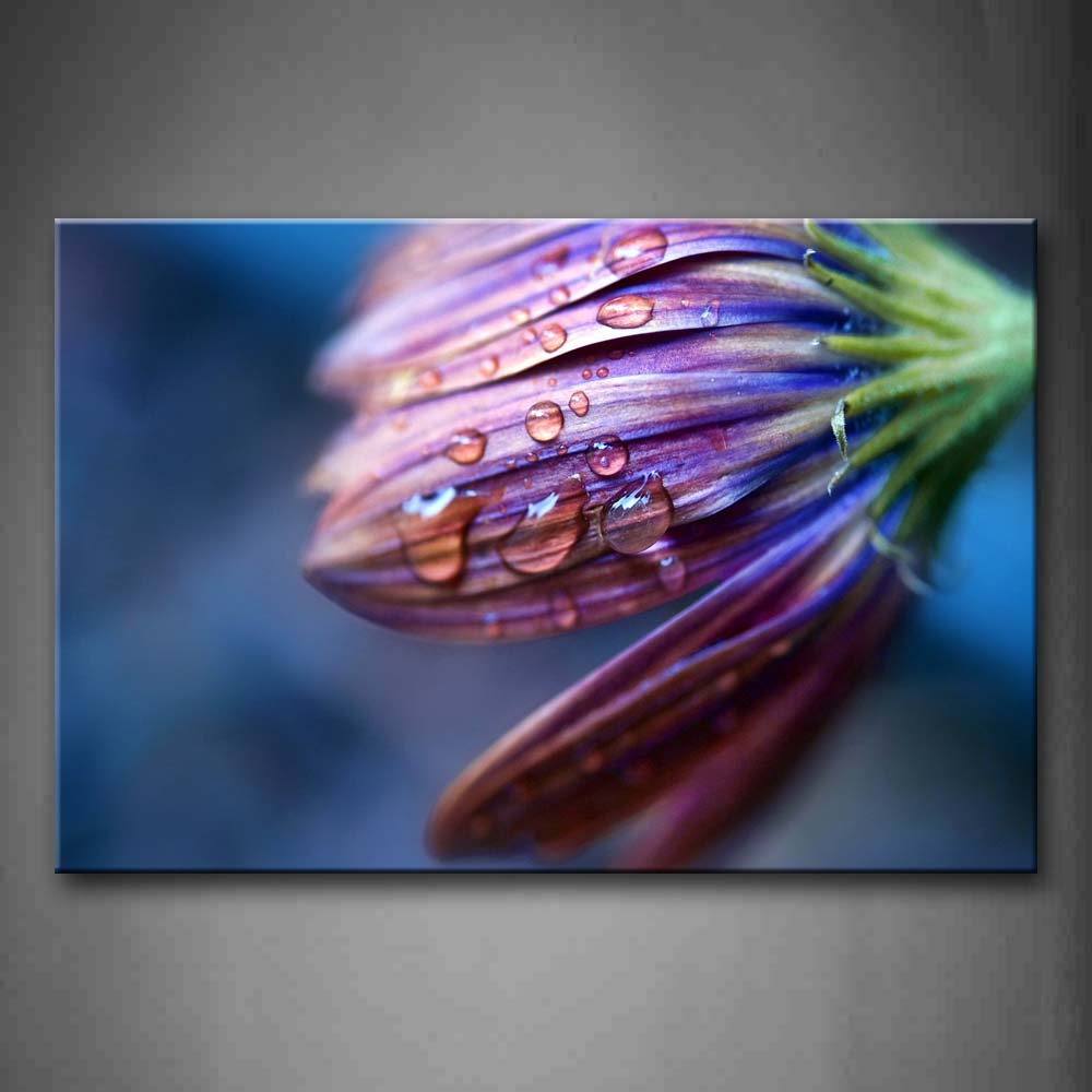 Water Drops On Flower Wall Art Painting Pictures Print On Canvas Flower The Picture For Home Modern Decoration 