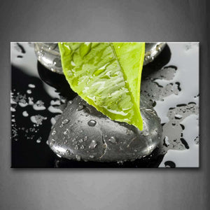 Green Leafs On Stones Water Drops Wall Art Painting Pictures Print On Canvas Botanical The Picture For Home Modern Decoration 