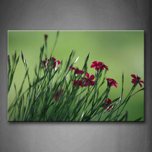 Red Flowers With Green Grass Wall Art Painting Pictures Print On Canvas Flower The Picture For Home Modern Decoration 