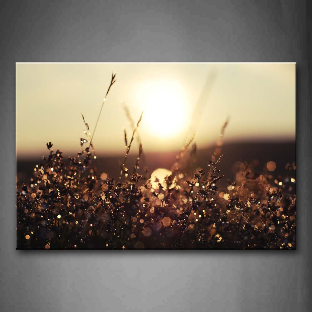 Setting Sun Shine On Plant Wall Art Painting Pictures Print On Canvas Landscape The Picture For Home Modern Decoration 