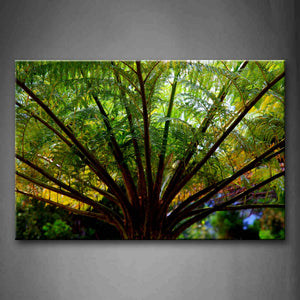 Green Palm Portrait Like A Umbrella Wall Art Painting Pictures Print On Canvas Botanical The Picture For Home Modern Decoration 