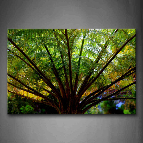 Green Palm Portrait Like A Umbrella Wall Art Painting Pictures Print On Canvas Botanical The Picture For Home Modern Decoration 