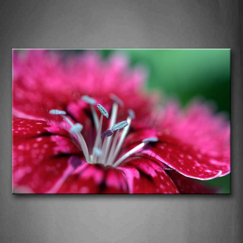 Red Flower With Gray Anther Portrait Wall Art Painting The Picture Print On Canvas Flower Pictures For Home Decor Decoration Gift 