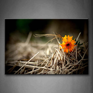 Yellow Flower Reveal On Dry Grass Wall Art Painting Pictures Print On Canvas Flower The Picture For Home Modern Decoration 