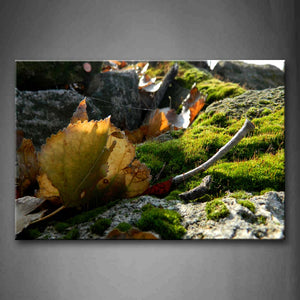 Fallen Leafs With Grass On Rock Wall Art Painting Pictures Print On Canvas Flower The Picture For Home Modern Decoration 