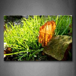 Fallen Yellow Leaf Near Stones And Green Grass Wall Art Painting Pictures Print On Canvas Flower The Picture For Home Modern Decoration 