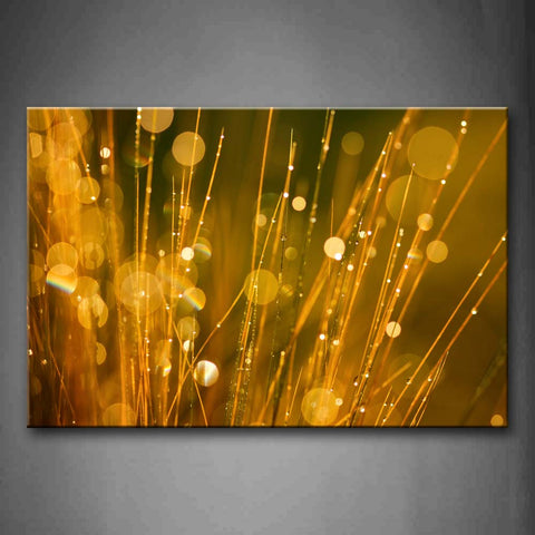 Water Drops On Needlelike Grass Many Circles Wall Art Painting Pictures Print On Canvas Botanical The Picture For Home Modern Decoration 