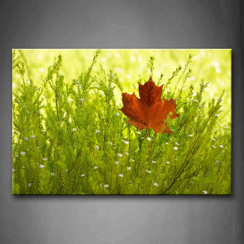 Yellow Fallen Maple In Green Plant Wall Art Painting The Picture Print On Canvas Flower Pictures For Home Decor Decoration Gift 