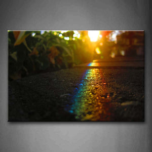 Rainbow Reflect On Flagging Near Plant Wall Art Painting Pictures Print On Canvas Landscape The Picture For Home Modern Decoration 