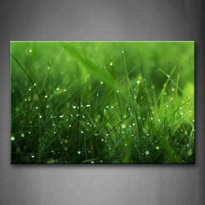 Water Drops On Green Grass Wall Art Painting The Picture Print On Canvas Botanical Pictures For Home Decor Decoration Gift 