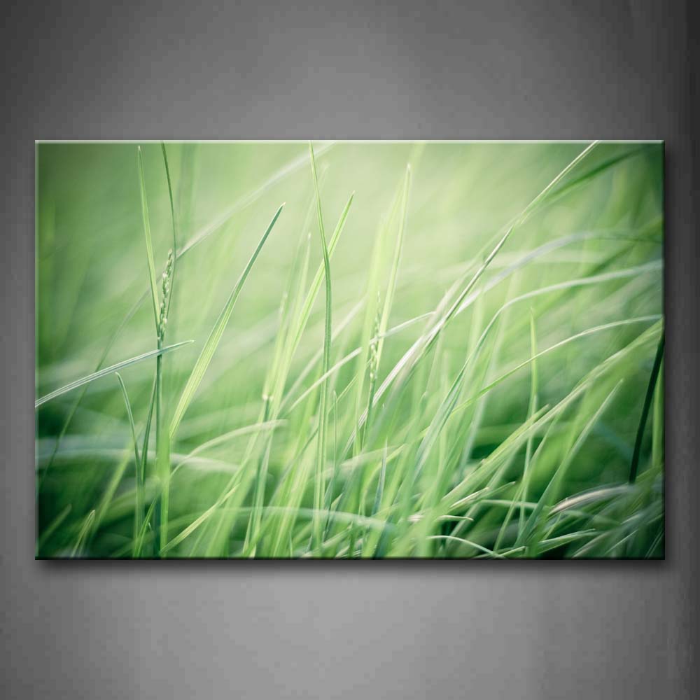 Green Grass Portrait Wall Art Painting Pictures Print On Canvas Botanical The Picture For Home Modern Decoration 