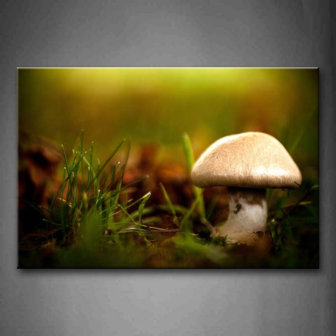 Mushroom Grow In Grass With Dry Leafs Wall Art Painting Pictures Print On Canvas Botanical The Picture For Home Modern Decoration 