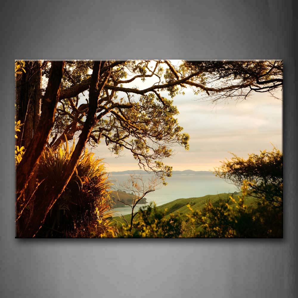 Several Trees Portrait Forane Sea And Lawn Wall Art Painting The Picture Print On Canvas Botanical Pictures For Home Decor Decoration Gift 