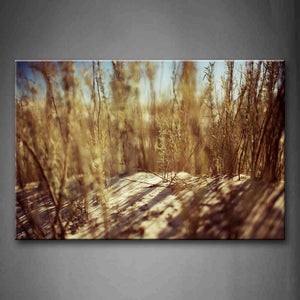 Many Yellow Grass Grow On Sand Land Wall Art Painting The Picture Print On Canvas Botanical Pictures For Home Decor Decoration Gift 