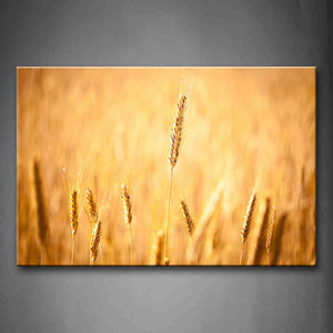 Wheat Portrait Field Wall Art Painting The Picture Print On Canvas Botanical Pictures For Home Decor Decoration Gift 