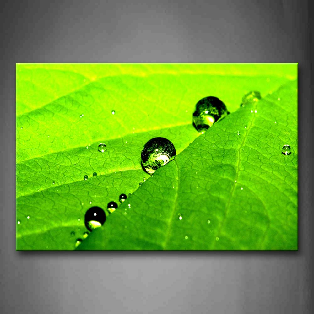 Water Drops On Fresh Green Leaf Wall Art Painting Pictures Print On Canvas Botanical The Picture For Home Modern Decoration 
