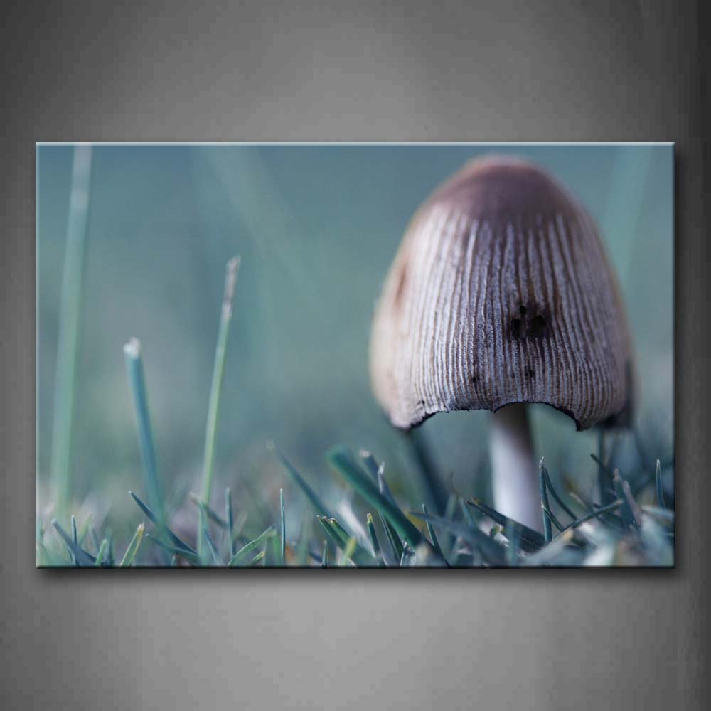 Mushroom In Grass Wall Art Painting The Picture Print On Canvas Botanical Pictures For Home Decor Decoration Gift 