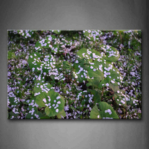 White Fallen Petals On Green Plant Leafs Wall Art Painting Pictures Print On Canvas Botanical The Picture For Home Modern Decoration 