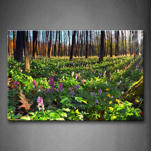 Pink Flower And Green Plant In Forest Wall Art Painting Pictures Print On Canvas Botanical The Picture For Home Modern Decoration 