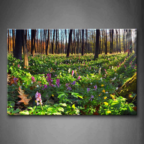 Pink Flower And Green Plant In Forest Wall Art Painting Pictures Print On Canvas Botanical The Picture For Home Modern Decoration 