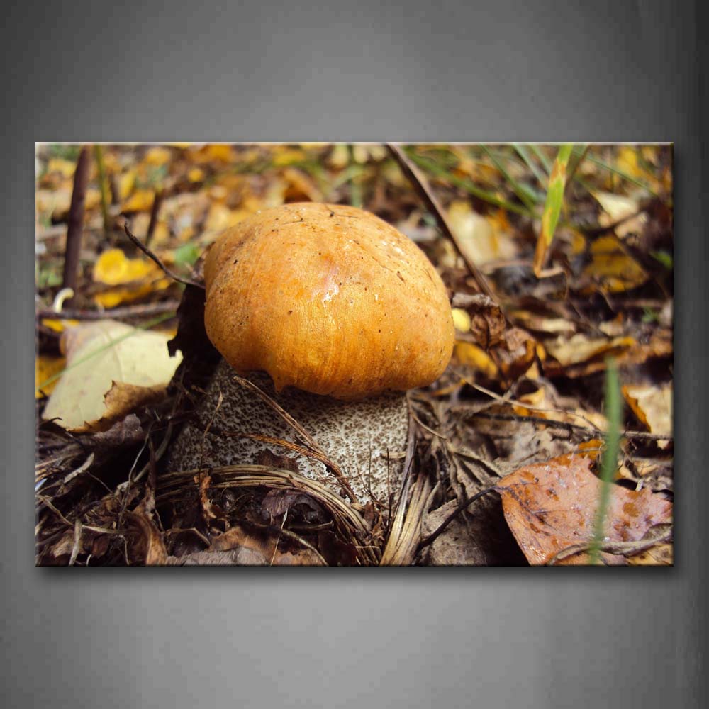 Yellow Mushroom Grow On Fallen Leafs Land Wall Art Painting The Picture Print On Canvas Botanical Pictures For Home Decor Decoration Gift 