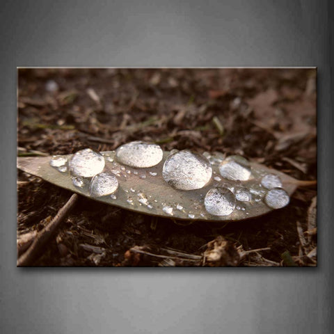 Water Drops On Fallen Leaf Wall Art Painting The Picture Print On Canvas Botanical Pictures For Home Decor Decoration Gift 