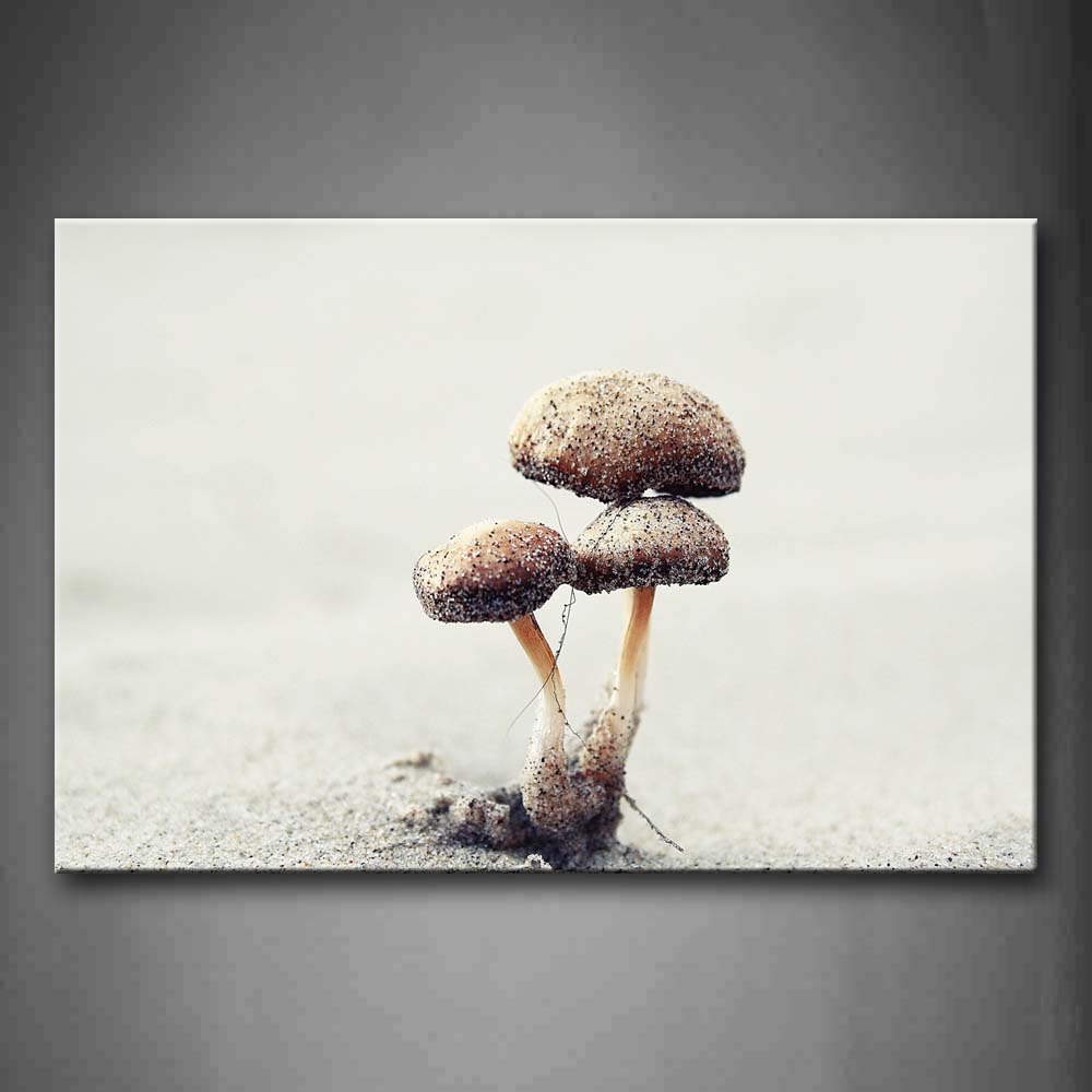 Three Mushrooms On White Land Wall Art Painting Pictures Print On Canvas Botanical The Picture For Home Modern Decoration 