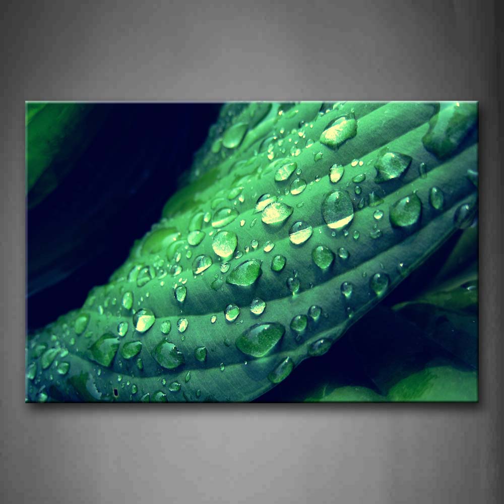 Water Drops On Green Leaf Portrait Wall Art Painting The Picture Print On Canvas Botanical Pictures For Home Decor Decoration Gift 
