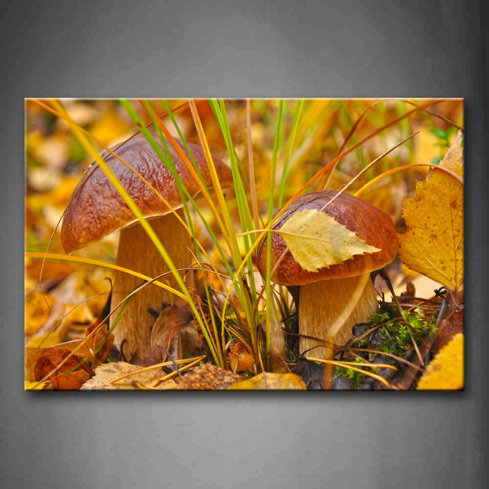 Two Big Mushrooms Behind Grass On Fallen Leafs Wall Art Painting The Picture Print On Canvas Botanical Pictures For Home Decor Decoration Gift 