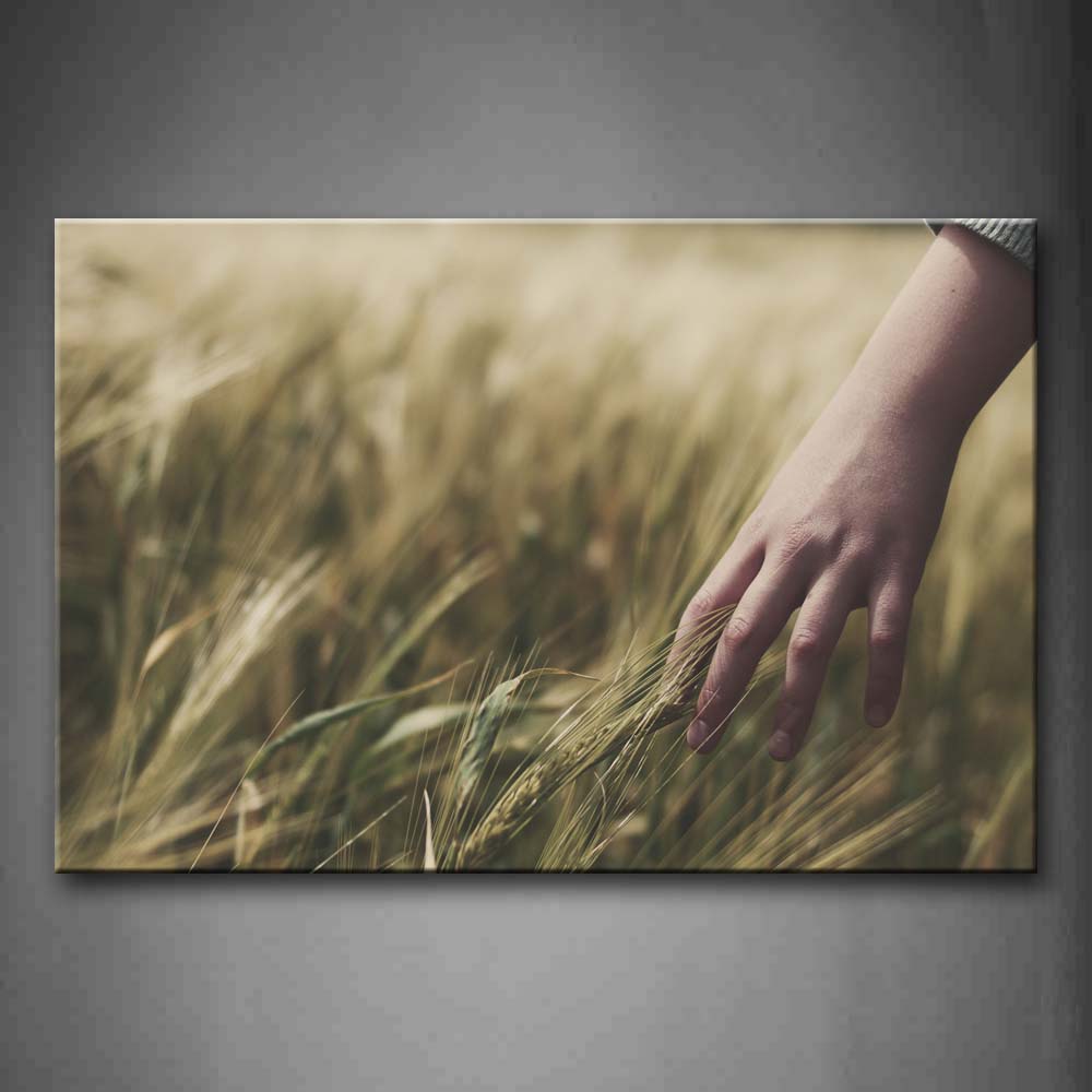 A Small Hand Touch The Wheat Wall Art Painting Pictures Print On Canvas Botanical The Picture For Home Modern Decoration 