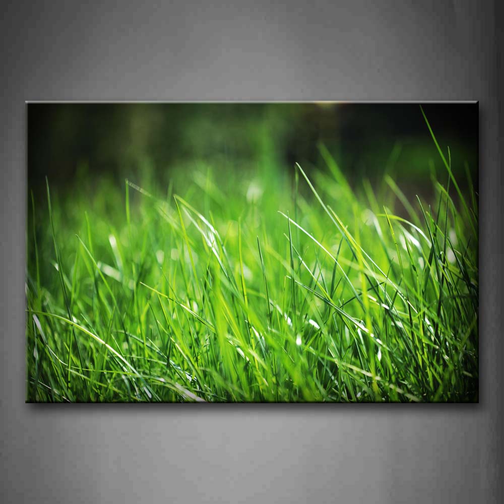 The Grass In Springis Emerald Green Wall Art Painting Pictures Print On Canvas Botanical The Picture For Home Modern Decoration 