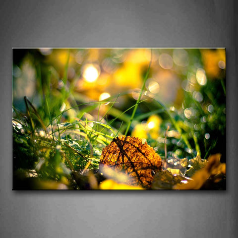 Special Leaf On The Grass Wall Art Painting The Picture Print On Canvas Botanical Pictures For Home Decor Decoration Gift 