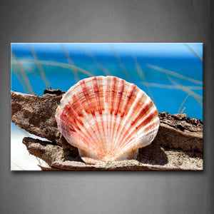 A Beautiful Shell On Rotten Wood  Near Blue Sea Wall Art Painting Pictures Print On Canvas Art The Picture For Home Modern Decoration 